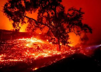 Multan por $1.700 millones a empresa de California por los incendios que dejaron más de 100 muertos