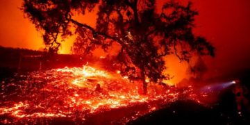 Multan por $1.700 millones a empresa de California por los incendios que dejaron más de 100 muertos