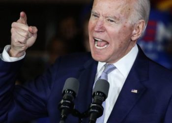 Encuesta: Biden es la elección de la mayoría de los votantes demócratas