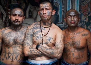 Gobierno de Bukele lleva un año negociando con la MS-13 reducción de homicidios y apoyo electoral