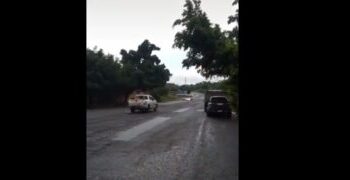 Ante el atropello de un can por parte de una patrulla PNC “Definitivamente que dolor es ver este vídeo!!!! No concibo tanta maldad”