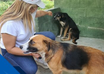 ¿Porqué para Beatriz Olmedo es importante proteger a los animales?