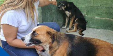 ¿Porqué para Beatriz Olmedo es importante proteger a los animales?