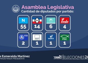 Bukele reclama diputado 56 de Nuevas Ideas tras resultados oficiales del TSE