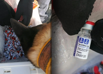 Honduras en alerta ante posible ingreso de falsas vacunas rusas incautadas en México