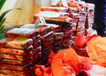 Incautan 200 kg de droga valorados en $5 Millones en San Vicente