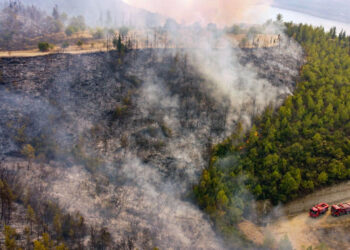 Incendios asolan el sur de Europa y fuerzan la evacuación de cientos de personas