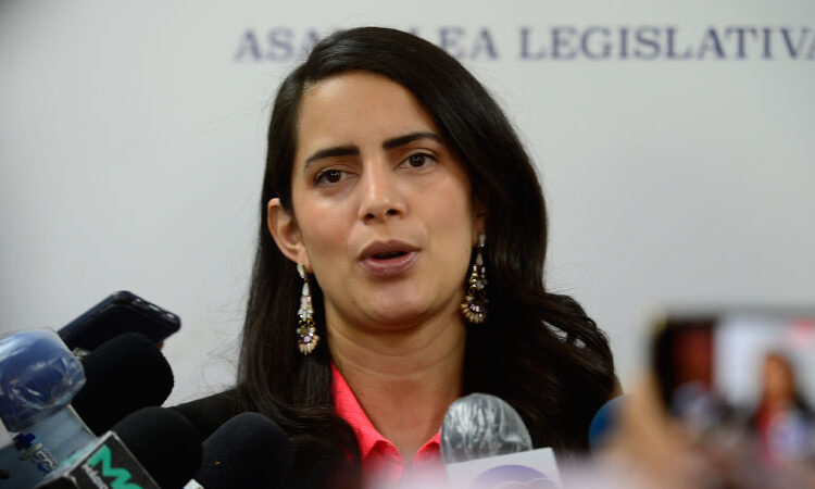 «A nadie se le está señalando por ir en una guerra contra las pandillas», afirma Claudia Ortiz