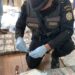 Guatemala decomisa 770 kilos de cocaína en avioneta de Sudamérica