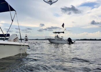 Explora la belleza natural del estero de Jaltepeque Costa del Sol con Tetos Tour