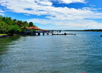Tetos Tour: Líder en experiencias turísticas inolvidables