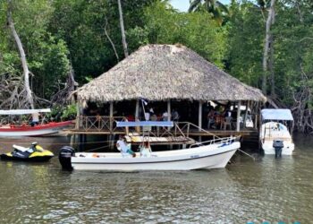 Con Tetos Tour descubre el paraíso gastronómico en medio de los manglares