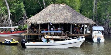 Con Tetos Tour descubre el paraíso gastronómico en medio de los manglares