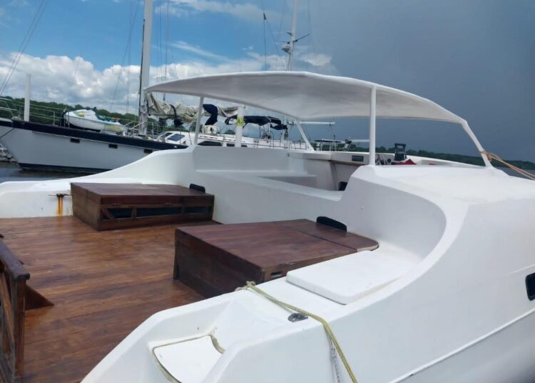 ¡Vive la experiencia única en la Costa del Sol con el espectacular Catamarán de Tetos Tour!