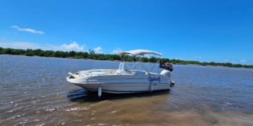 ¡Celebra la navidad y el fin de año con Tetos Tour! Descubre experiencias únicas en el mar
