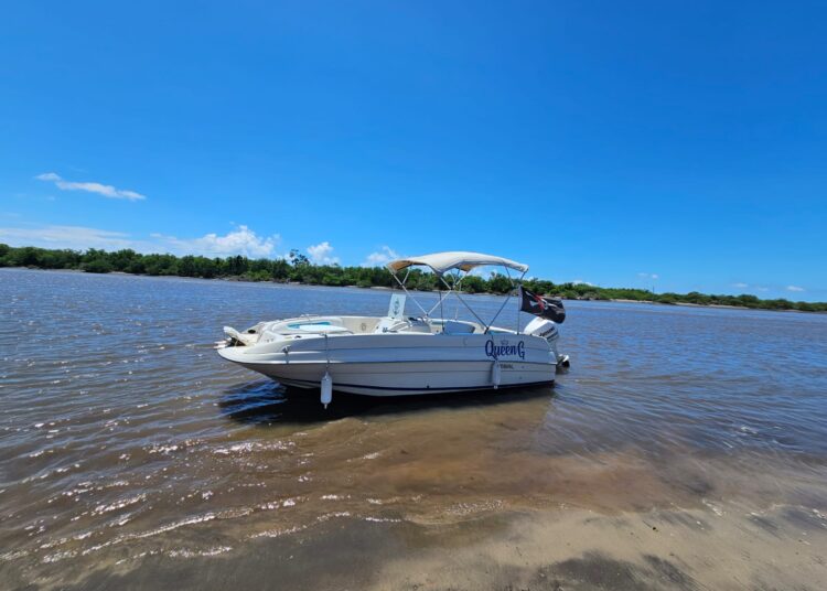 ¡Celebra la navidad y el fin de año con Tetos Tour! Descubre experiencias únicas en el mar