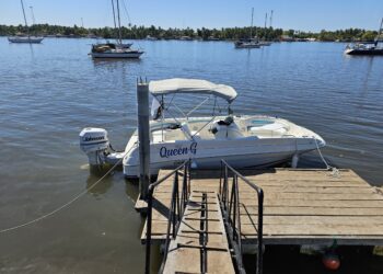 Tetos Tour anuncia una experiencia inolvidable a bordo de la lancha deportiva Queen G: ideal para grupos de 10 Personas