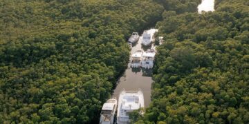 Tetos Tour resalta la importancia de los manglares en Cancún: Un refugio natural para yates