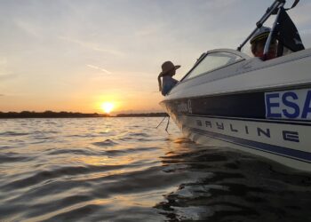 Atardeceres inolvidables con Tetos Tour en la Costa del Sol